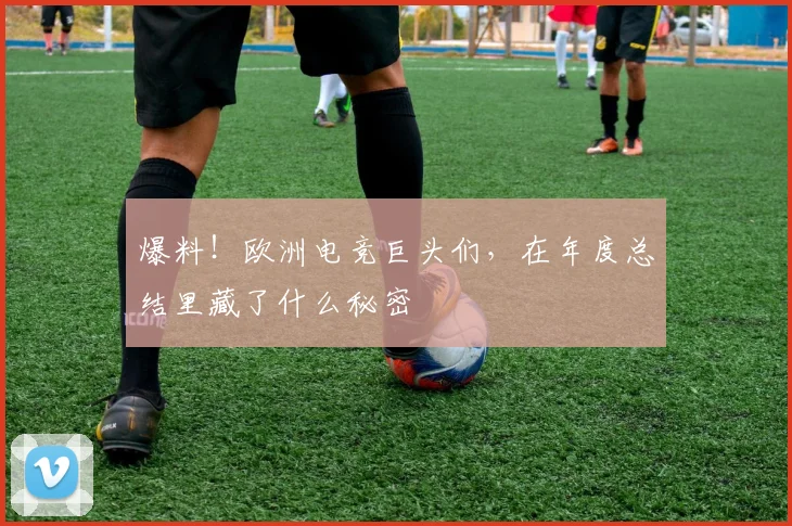 爆料!欧洲电竞巨头们,在年度总结里藏了什么秘密